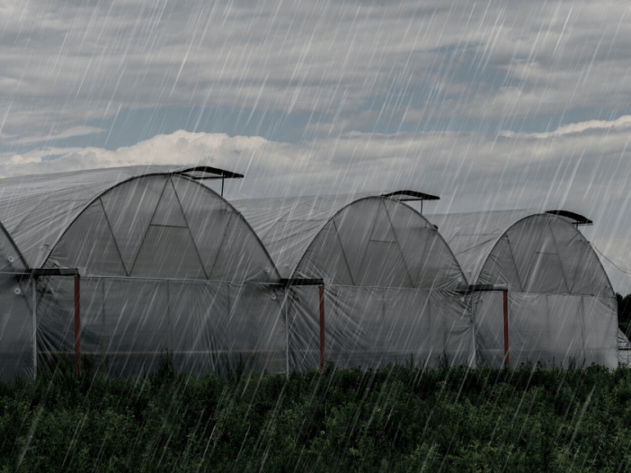 What is Anti-Condensate Greenhouse Plastic Sheeting?