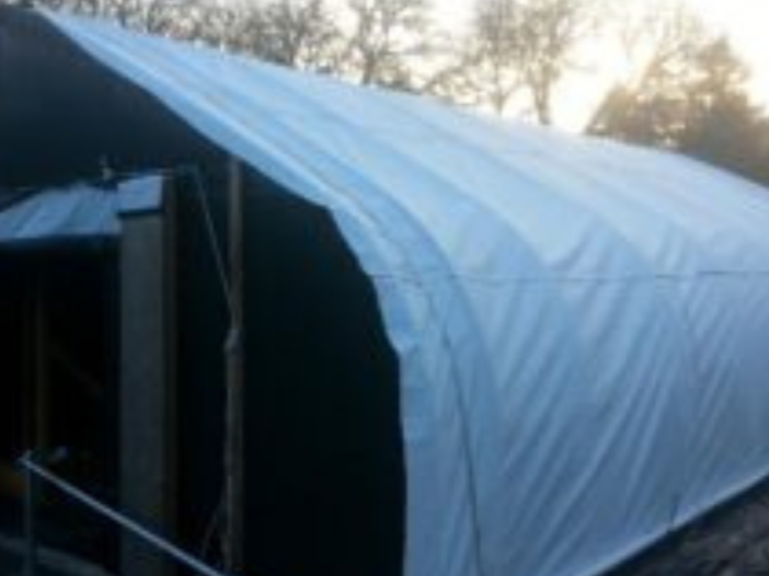 Does BOLD Outperform Panda Plastic Sheeting in a Light Deprivation Greenhouse?