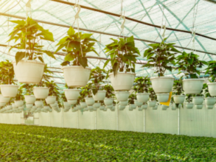 What is UV Resistant Greenhouse Plastic Sheeting?