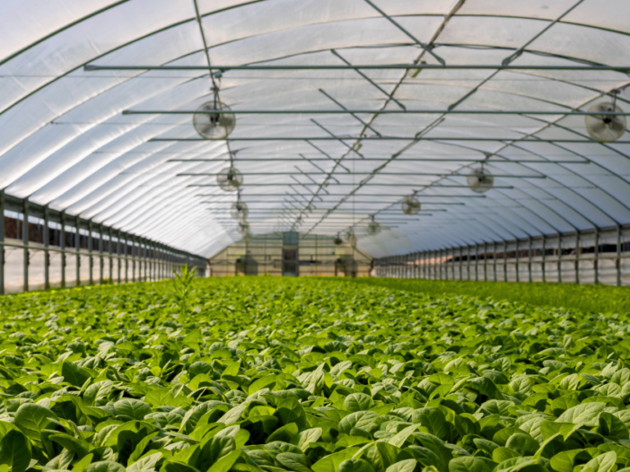 How to Install a Greenhouse Cover