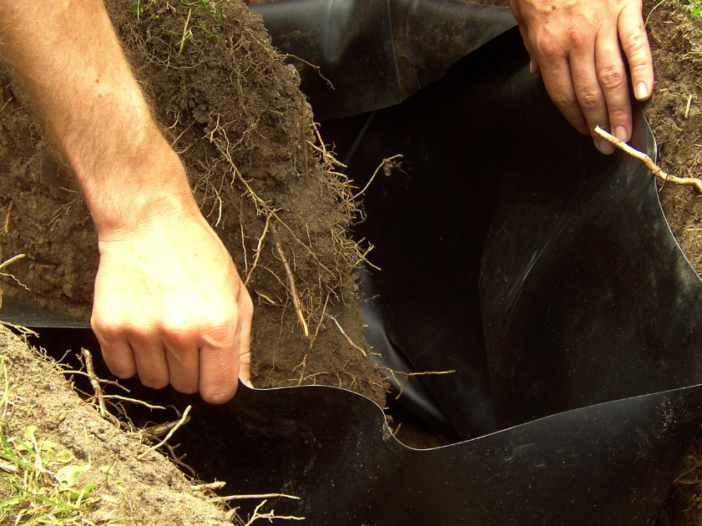 Root Barrier for Trees