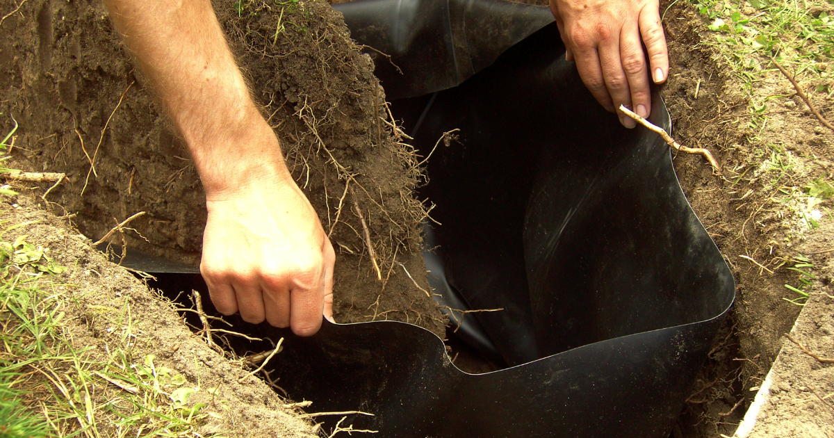 Root Barrier for Trees