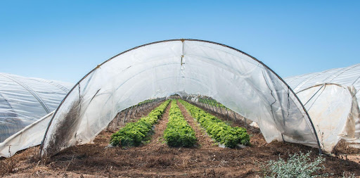 greenhouse cover